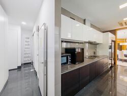 Belle Vue Residences (D9), Condominium #447734501
